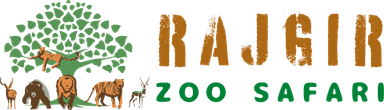 logo Copy (2)