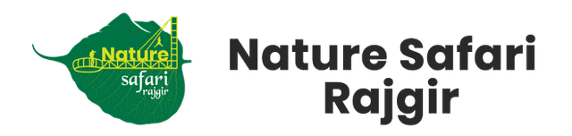 Nature Safari logo copy