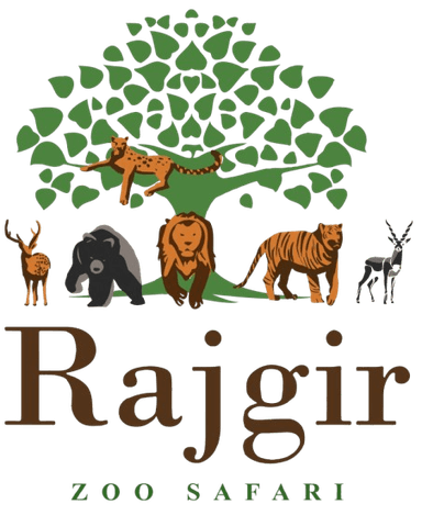 rajgir zoo