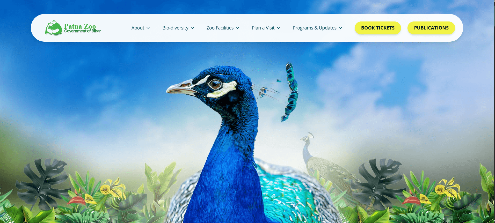 Website preview
